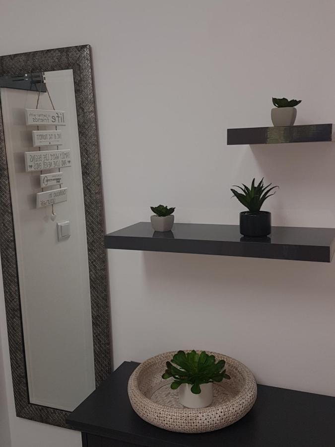 Apartma Irena 노비비노돌스키 외부 사진